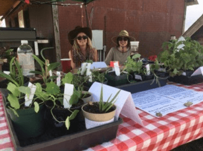 Women Sitting at Table with Vegetables with EarthArt Institute